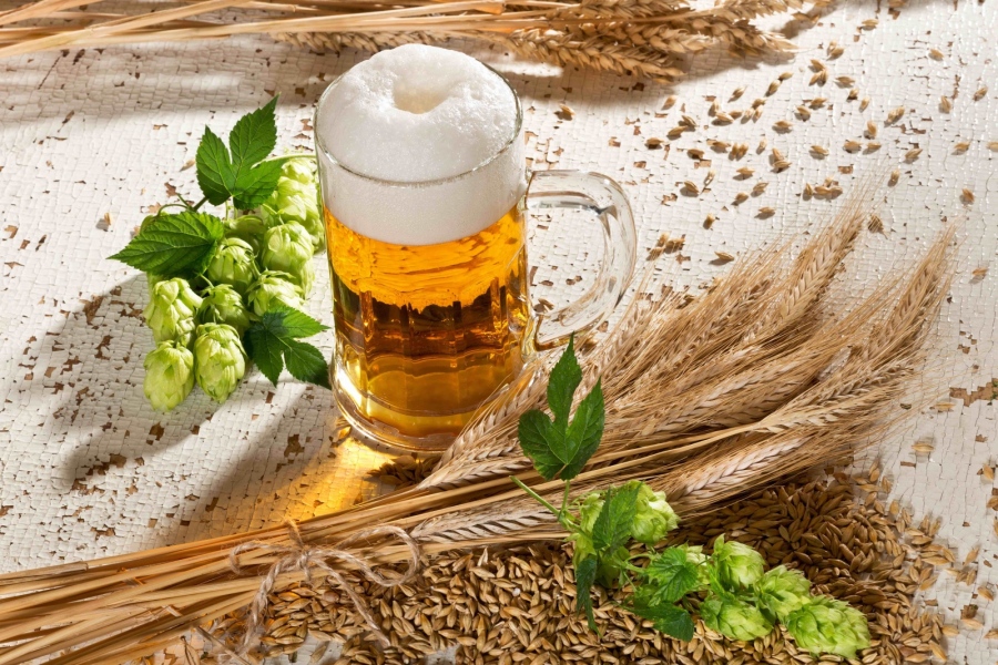Богатството от вкусове и историята на бирата привличат най-много 